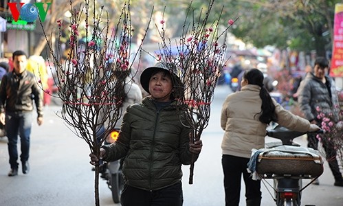 Hanoi erwartet das Jahr des Pferdes