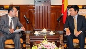 Politische Konsultation zwischen Vietnam und Usbekistan