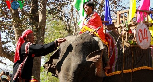 Das Elefanten-Fest im Dorf Don