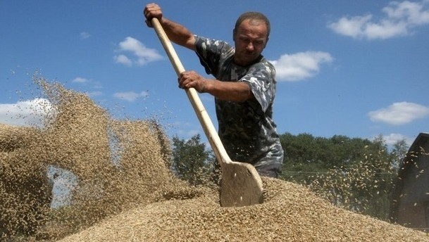 Ukraine-Krise löst weltweiten Preisanstieg bei Nahrungsmitteln aus