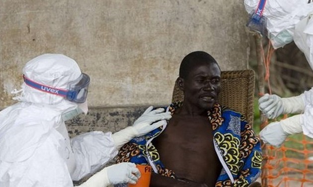 Sondersitzung von WHO über Ebola-Epidemie 