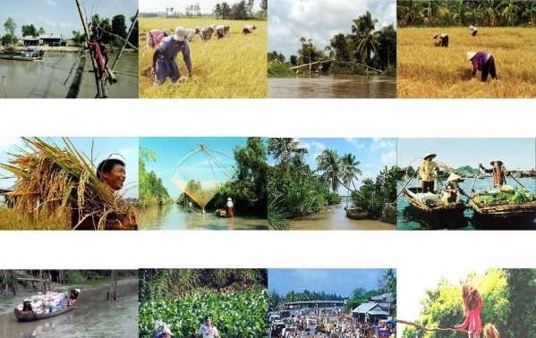 Zusammenarbeit der Provinzen durch Wirtschaftsforum für Mekong-Delta
