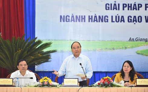 Nachhaltige Entwicklung des Reises im Mekongdelta