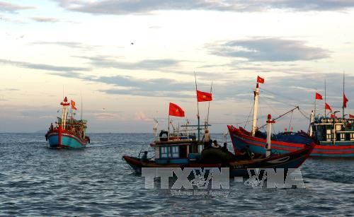 Ausstellung der Kulturschätze des Meeres und der Inseln in der Provinz Quang Nam