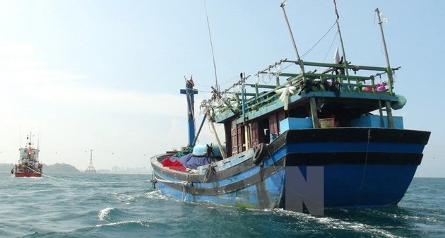 Bemühungen Vietnams zur Aufhebung der gelben Karte der EC gegen Produkte der Aquakultur
