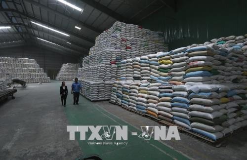 Ägypten wird ein Million Tonnen Reis Vietnams importieren