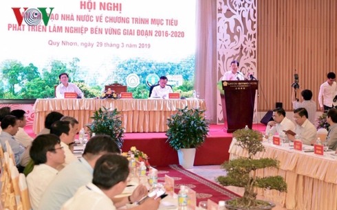 Vize-Premierminister Trinh Dinh Dung: Vergrößerung der Fläche der Aufforstung