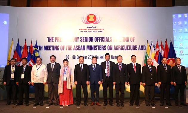 Die Konferenz der hochrangigen Beamte der ASEAN-Länder über Land- und Forstwirtschaft