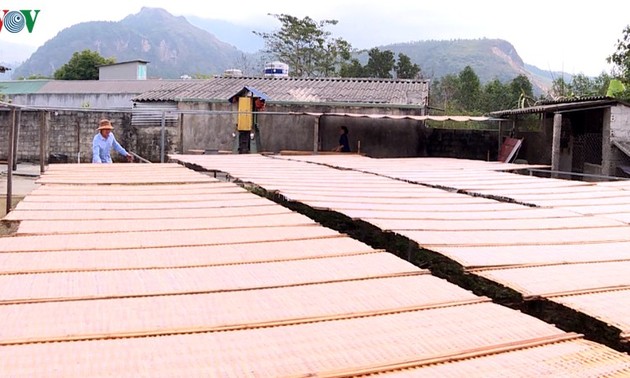 Das Dorf für Herstellung von Glasnudeln Binh Lu – Effektives Handwerkerdorf im Nordwesten