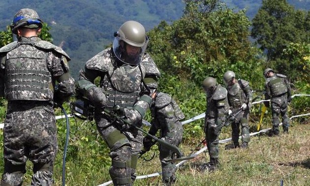 Nord- und Südkorea verletzten Waffenstillstand beim Schusswechsel in der entmilitarisierten Zone