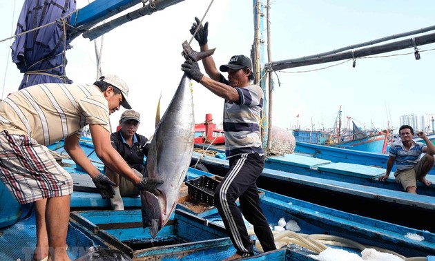 Schutz des Vorkommens der Fischerei für einen blauen Ozean