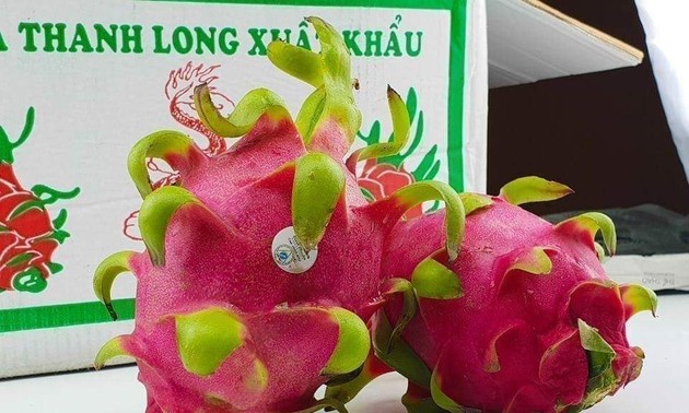 Zahlreiche positive Signale von den Importmärkten für vietnamesische Früchte und Gemüse 