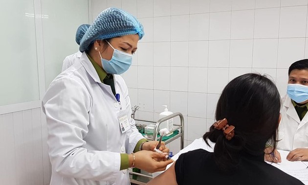 Impfstoff gegen Covid-19 Vietnams kann Antikörper erzeugen