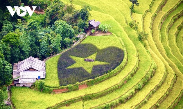 Kulturwoche „Durch die Reisterrassen in Hoang Su Phi” im September 