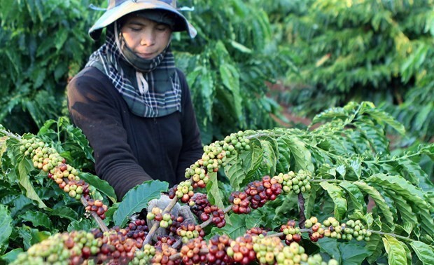 Vietnam weitet die Exportmärkte für Agrarprodukte aus