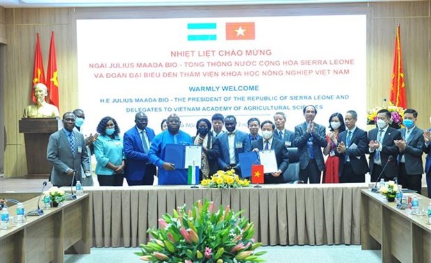 Vietnam und Sierra Leone verstärken die Zusammenarbeit in Landwirtschaft und digitaler Transformation