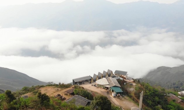 Touristen stürmen das Hochland Bac Yen zum “Wolken-Fang” 
