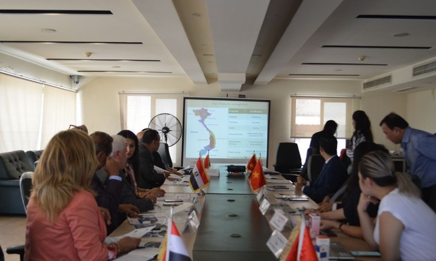 Das Potenzial für Zusammenarbeit in Handel und Wirtschaft zwischen Vietnam und Ägypten