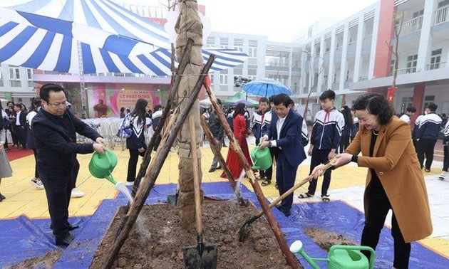 Hanoi wird 15.000 Bäume in den Schulen anbauen