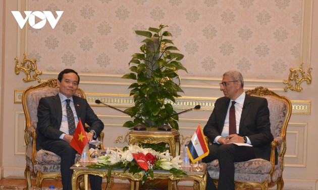 Das Potenzial für die Zusammenarbeit zwischen Vietnam und Ägypten ist groß