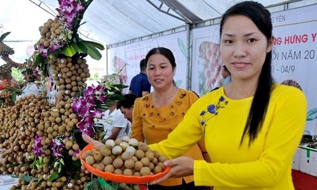 Hung Yen baut Marken für ihre OCOP-Produkte auf