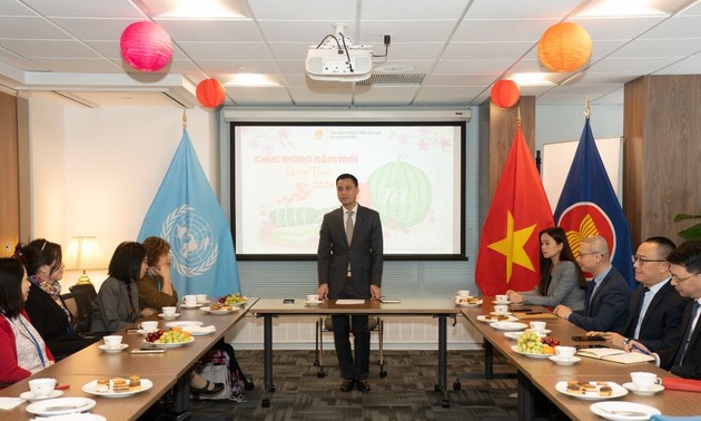 Die vietnamesische Delegation trifft vietnamesische Experten bei der UNO
