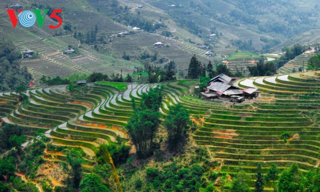 Hà Giang: quand l’eau arrive aux rizières en terrasse 