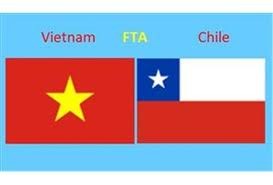 Chủ tịch Thượng viện Chile thăm Việt Nam