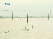 Mưa lớn ở Bắc Trà My, Quảng Nam, gây lụt cục bộ