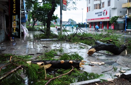 Quảng Ninh ước tính thiệt hại do bão số 3 gây ra khoảng 20 tỷ đồng