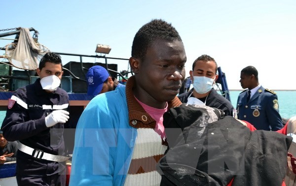 Италия расследует смерть около 400 ливийских мигрантов в Средиземном море