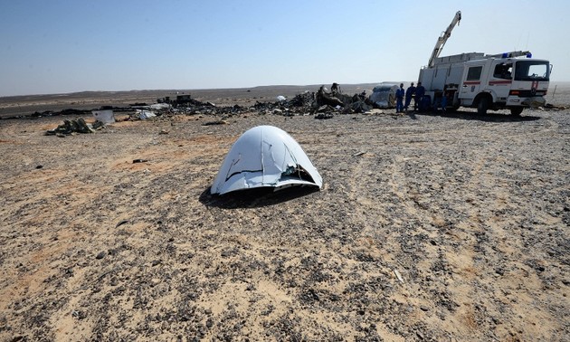 Опознаны 58 погибших в авиакатастрофе самолета А321 в Египте
