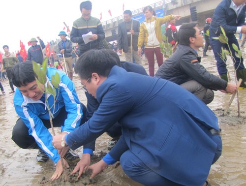 ЦК СКМ развернул праздник посадки деревьев в провинции Хатинь 