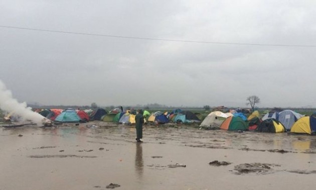 ООН: Мигранты в лагере Идомени на границе Греции с Македонией оказались в крайней нужде