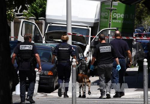 Связь водителя грузовика в Ницце с террористами не установлена