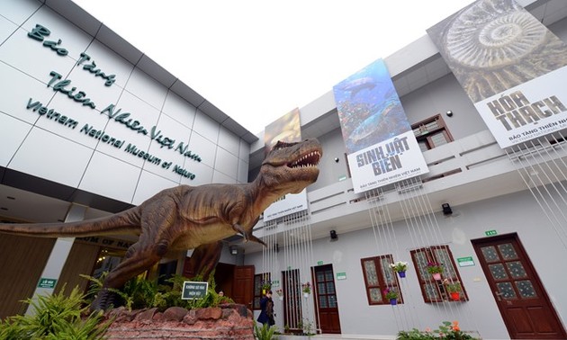Посещение первого музея природы во Вьетнаме