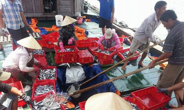 Рыбаки Вьетнама начинают первую в новом году рыбную ловлю в районе островов Чыонгша