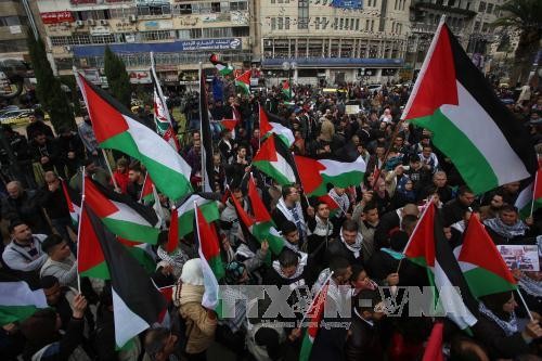 Произошли столкновения  между израильскими военнослужащими и палестинскими демонстрантами