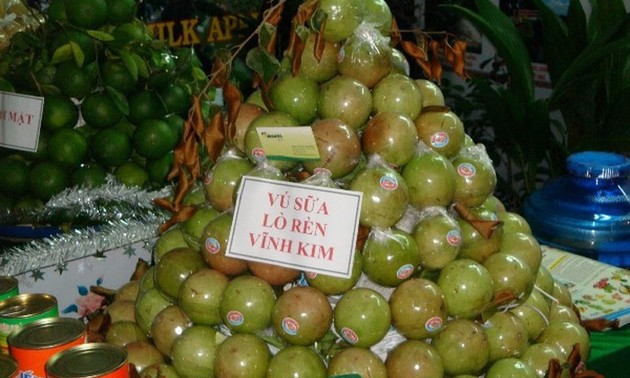 Вьетнам экспортировал в США первую партию звёздчатого яблока бренда «Lo Ren Vinh Kim»