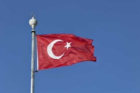 Зачем Турция начала операцию «Оливковая ветвь» в Сирии?