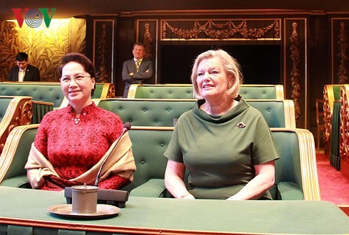 Нгуен Тхи Ким Нган провела переговоры с председателем Сената Королевства Нидерландов