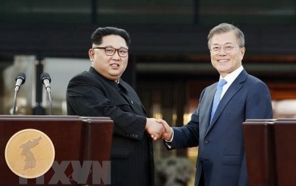 Республика Корея и Россия поддерживают трехстороннее сотрудничество с КНДР