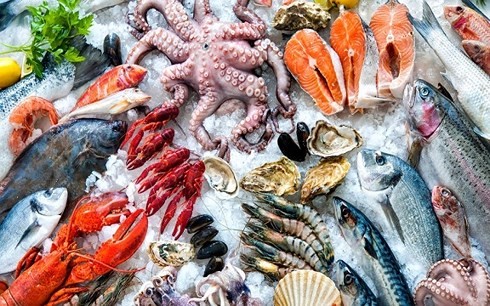 ЕК продлил срок действия «желтой карточки» в отношении морепродуктов Вьетнама до января 2019г.