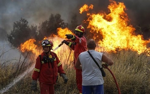 В Греции объявлен трехдневный траур по жертвам пожаров