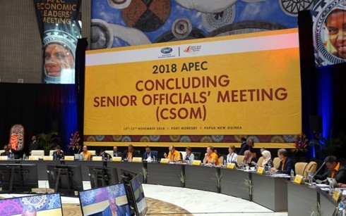Конференция по подведению итогов встречи высокопоставленных чиновников в рамках форума АТЭС 2018