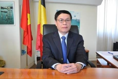 Посол Вьетнама при ЕС: EVFTA может вступить в силу в начале 2020г.
