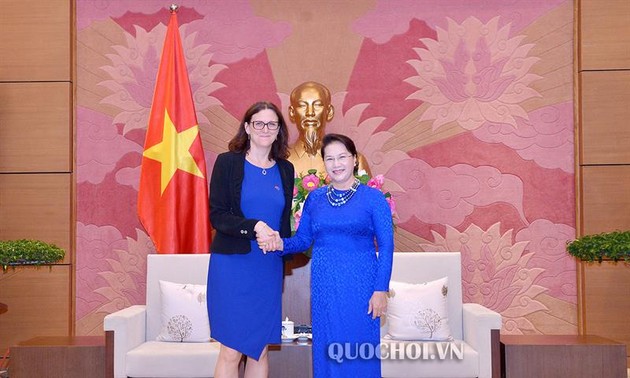 Нгуен Тхи Ким Нган приняла комиссара ЕС по торговле Сесилию Мальмстрём   