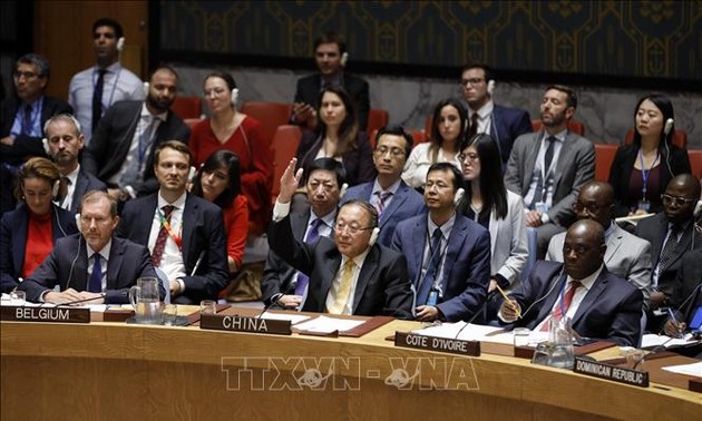 Совбез ООН не принял проекты резолюций по Сирии