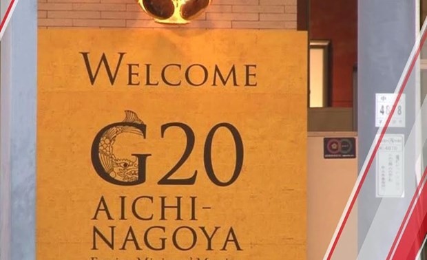 Вьетнам принимает участие в совещании министров иностранных дел стран G20 в Японии