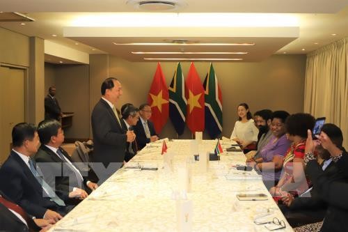 ЮАР рассматривает Вьетнам как один из ведущих партнеров в ЮВА